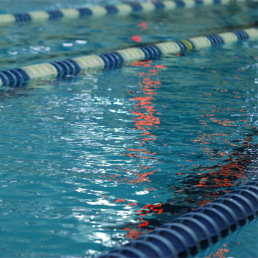 Swimming Images Scroll
